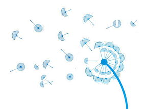 攜手長春網站建設，打造企業專屬的數字化門戶