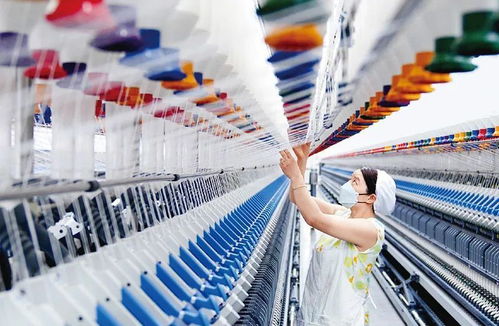 紡織業(yè) 中國經(jīng)濟(jì)新優(yōu)勢的隱形冠軍